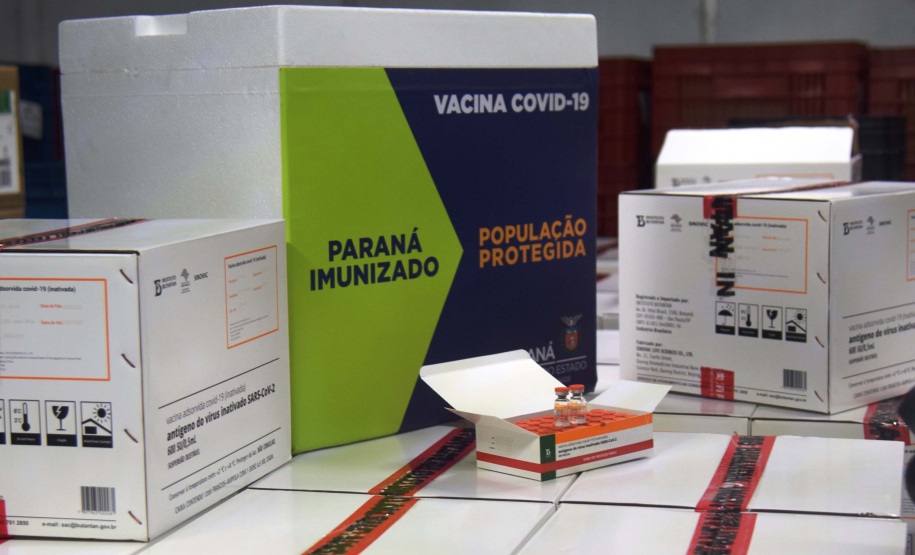 Agilidade das equipes da Saúde garante entrega a todos os municípios do Paraná.
Foto: Américo Antonio/SESA
19.01.2021
