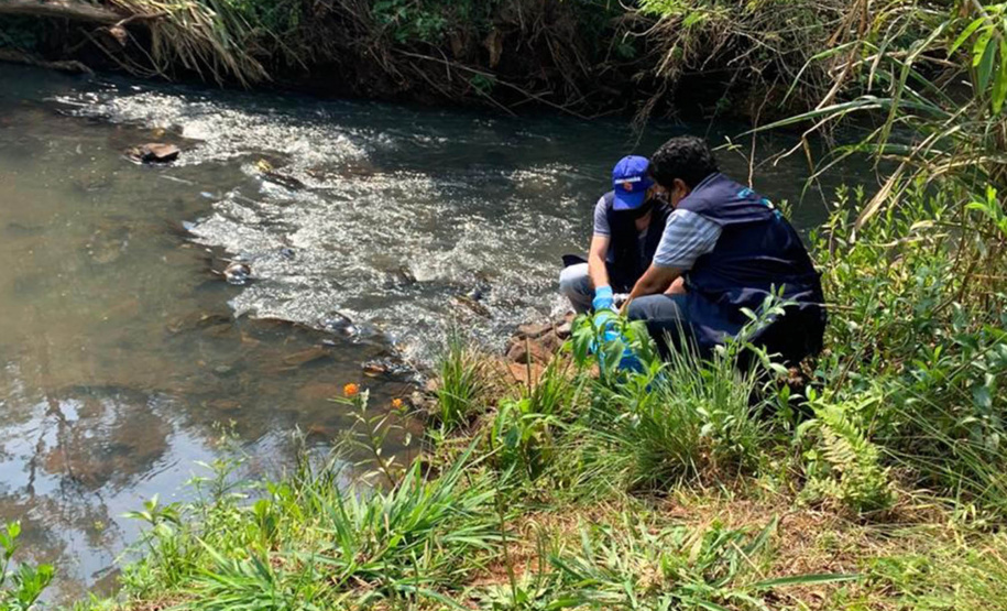 O Instituto Água e Terra (IAT), vinculado à Secretaria do Desenvolvimento Sustentável e do Turismo, recebeu recomendação para acreditação dos seus laboratórios ambientais de Curitiba e Londrina.  -  Foto: Divulgação IAT