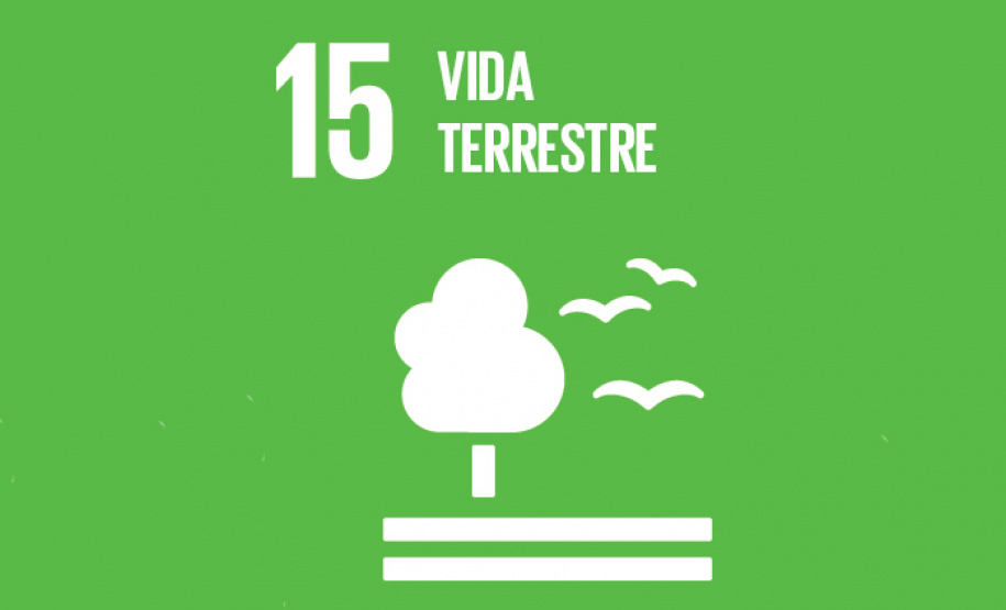 Ecossistemas terrestres dependem de conscientização e de políticas públicas  -  Foto/Arte: Divulgação SEDU