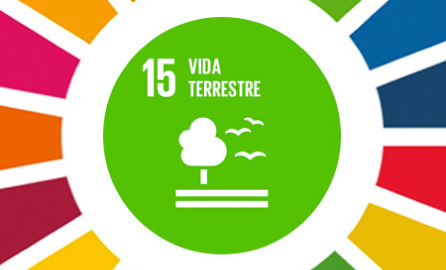 Ecossistemas terrestres dependem de conscientização e de políticas públicas  -  Foto/Arte: Divulgação SEDU