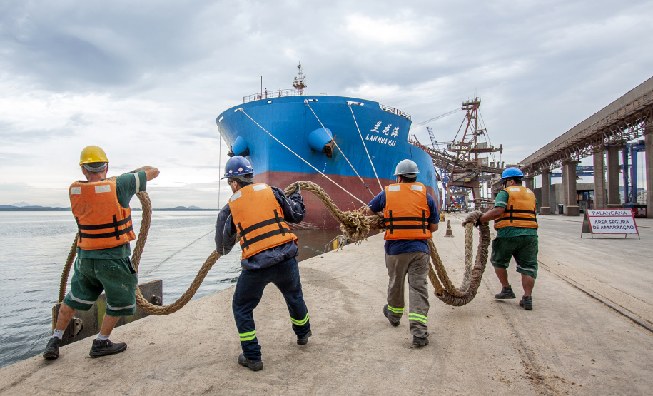 Dia do Portuário marca a essencialidade desses trabalhadores - Comemorada no dia 28 de janeiro, a data ressalta o trabalho de mais de 50 mil homens e mulheres, no Brasil, 3,1 mil no Paraná, que atuam no transporte internacional de cargas e são essenciais para economia mundial - Foto: Claudio Neves/Portos do Paraná