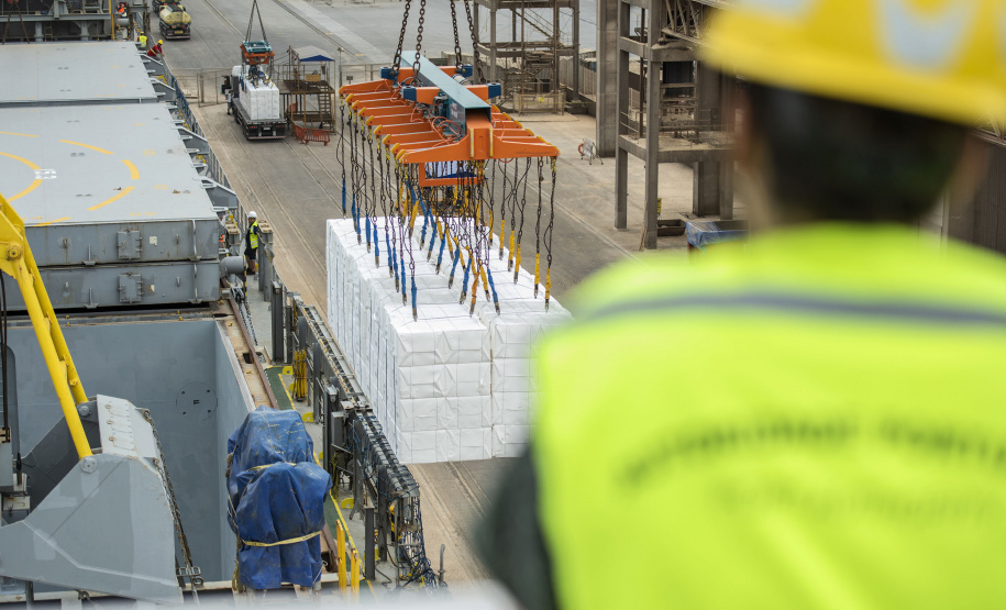 Dia do Portuário marca a essencialidade desses trabalhadores - Comemorada no dia 28 de janeiro, a data ressalta o trabalho de mais de 50 mil homens e mulheres, no Brasil, 3,1 mil no Paraná, que atuam no transporte internacional de cargas e são essenciais para economia mundial - Foto: Claudio Neves/Portos do Paraná