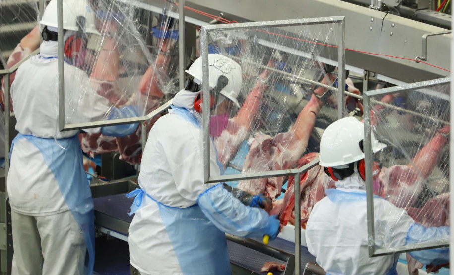 Paraná encerra 2020 com 52,6 mil novos empregos
. Foto: José Fernando Ogura/AEN