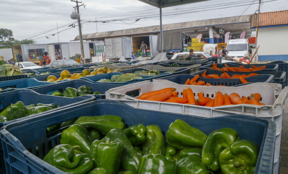 Permissionários atacadistas da Ceasa Curitiba fazem doação 25 toneladas de alimentos para entidades beneficentes de Curitiba e Região Metropolitana, além de famílias atingidas pelas chuvas em Irati, na região Centro-Sul do Estado. - Curitiba, 29/01/2021  - Foto: Gilson Abreu/AEN