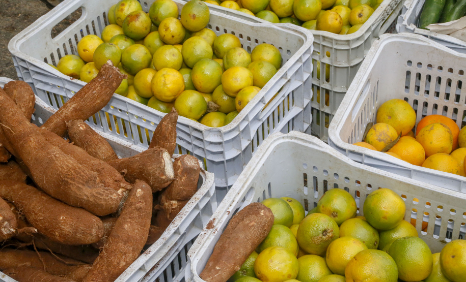 Permissionários atacadistas da Ceasa Curitiba fazem doação 25 toneladas de alimentos para entidades beneficentes de Curitiba e Região Metropolitana, além de famílias atingidas pelas chuvas em Irati, na região Centro-Sul do Estado. - Curitiba, 29/01/2021  - Foto: Gilson Abreu/AEN