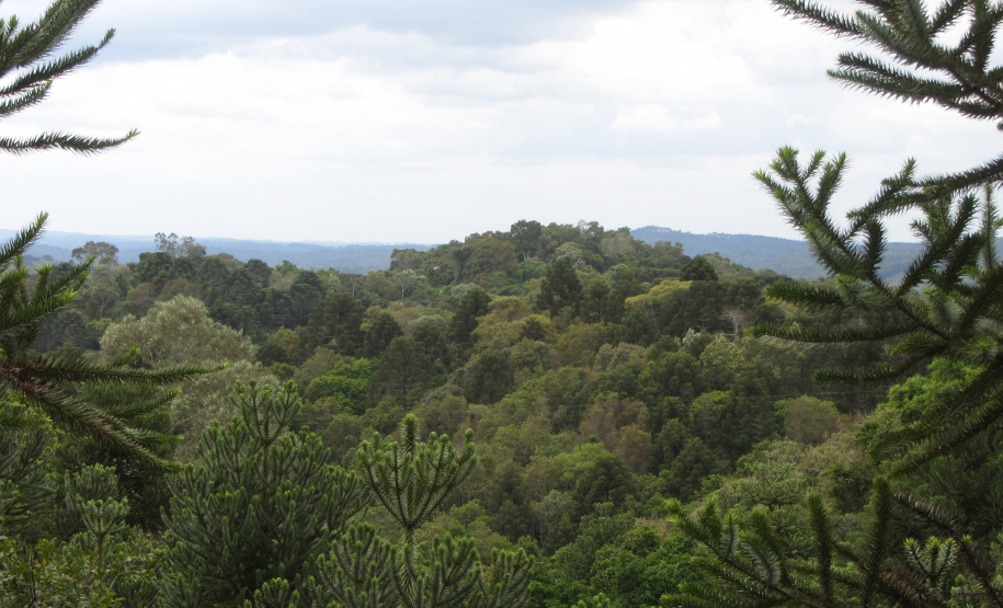 O Governo do Paraná destinou R$ 701.013,90 às 20 Reservas Particulares de Patrimônio Natural (RPPNs) inscritas no Edital nº 01/2018 do Programa Pagamento por Serviços Ambientais (PSA).  - Foto: Tereza Hoffmann / IAT