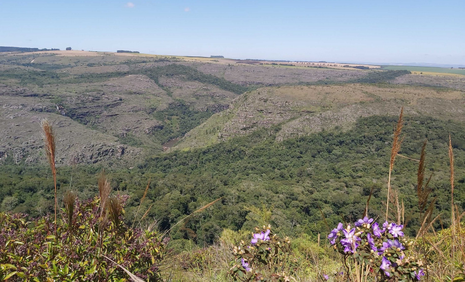 O Governo do Paraná destinou R$ 701.013,90 às 20 Reservas Particulares de Patrimônio Natural (RPPNs) inscritas no Edital nº 01/2018 do Programa Pagamento por Serviços Ambientais (PSA).  - Foto: Tereza Hoffmann / IAT