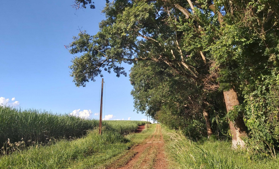 O Governo do Paraná destinou R$ 701.013,90 às 20 Reservas Particulares de Patrimônio Natural (RPPNs) inscritas no Edital nº 01/2018 do Programa Pagamento por Serviços Ambientais (PSA).  - Foto: Tereza Hoffmann / IAT