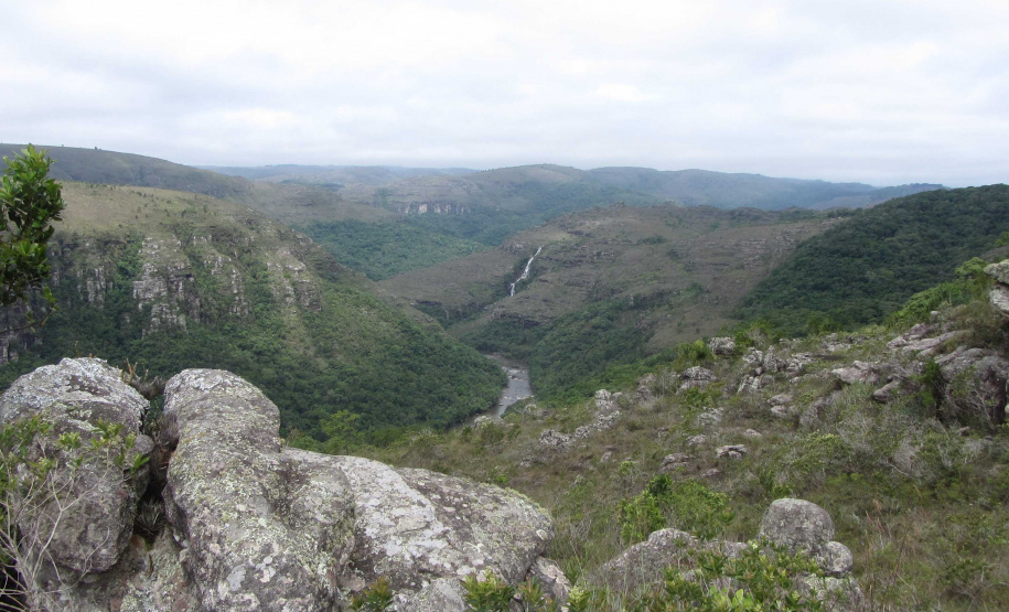 O Governo do Paraná destinou R$ 701.013,90 às 20 Reservas Particulares de Patrimônio Natural (RPPNs) inscritas no Edital nº 01/2018 do Programa Pagamento por Serviços Ambientais (PSA).  - Foto: Tereza Hoffmann / IAT