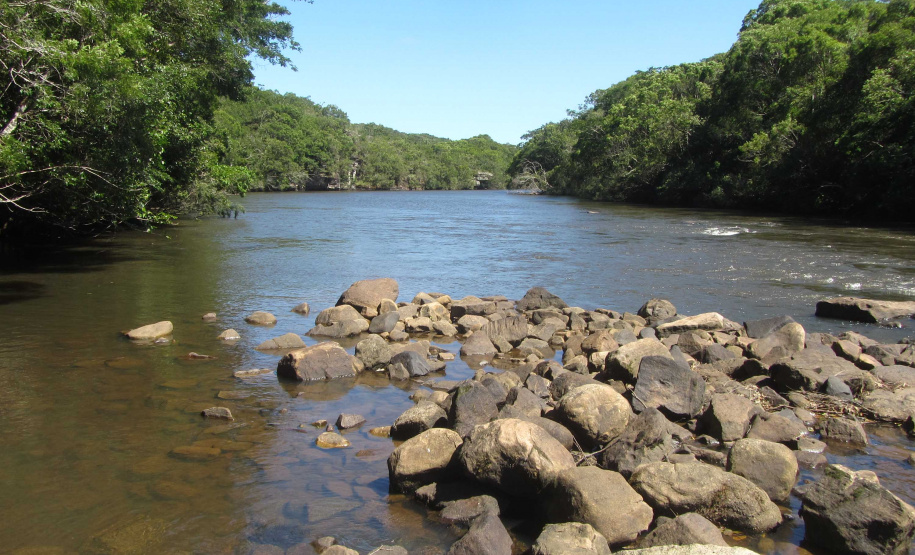 O Governo do Paraná destinou R$ 701.013,90 às 20 Reservas Particulares de Patrimônio Natural (RPPNs) inscritas no Edital nº 01/2018 do Programa Pagamento por Serviços Ambientais (PSA).  - Foto: Tereza Hoffmann / IAT
