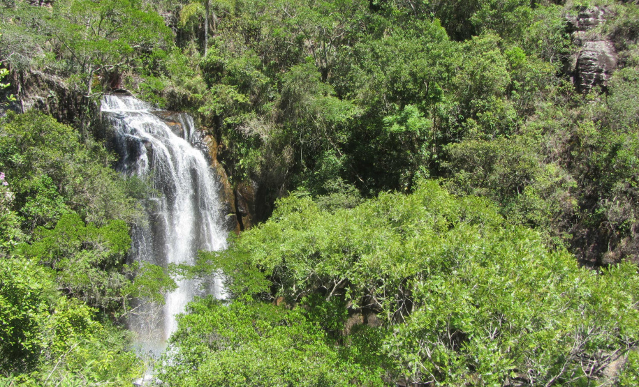 O Governo do Paraná destinou R$ 701.013,90 às 20 Reservas Particulares de Patrimônio Natural (RPPNs) inscritas no Edital nº 01/2018 do Programa Pagamento por Serviços Ambientais (PSA).  - Foto: Tereza Hoffmann / IAT