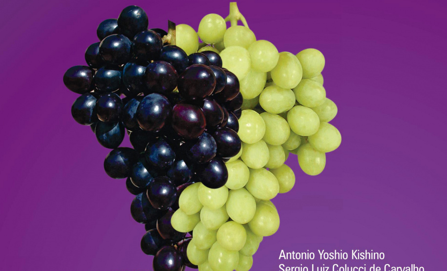 O Instituto de Desenvolvimento Rural do Paraná ? Iapar-Emater (IDR-Paraná) está lançando o livro Viticultura Tropical: o sistema de produção de uvas de mesa do Paraná.  -  Foto: Divulgação IDR-Paraná