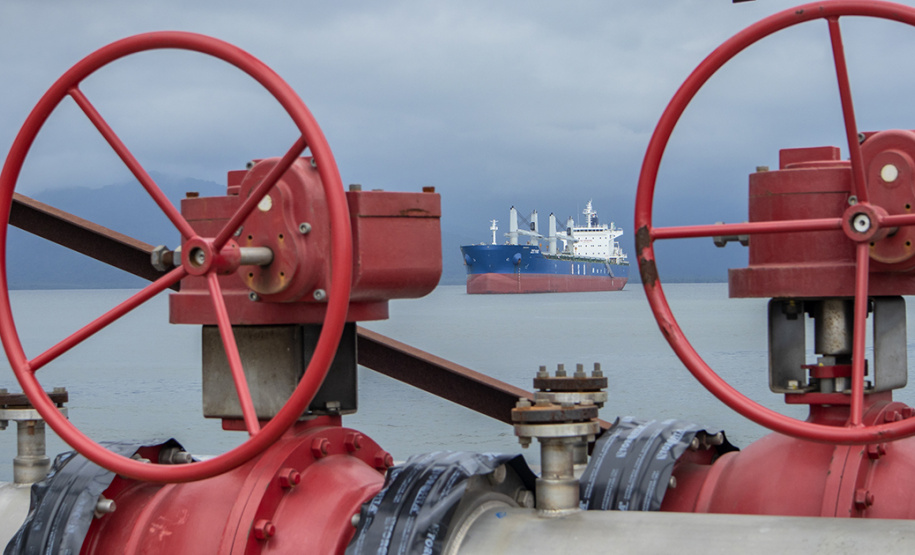 Portos de Paranaguá e Antonina registram alta de 4% na movimentação. - Paranaguá, 08/02/2021 - Foto: Claudio Neves/Portos do Paraná