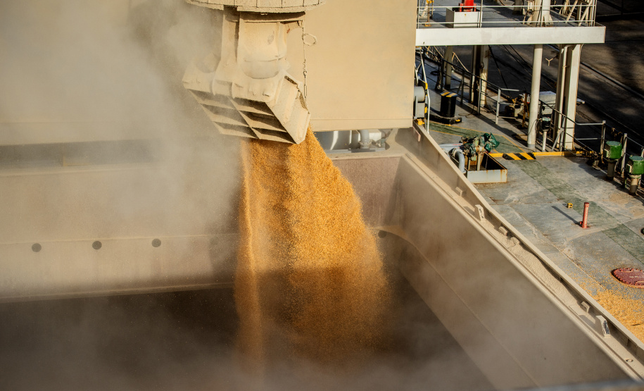 Portos de Paranaguá e Antonina registram alta de 4% na movimentação. - Paranaguá, 08/02/2021 - Foto: Claudio Neves/Portos do Paraná