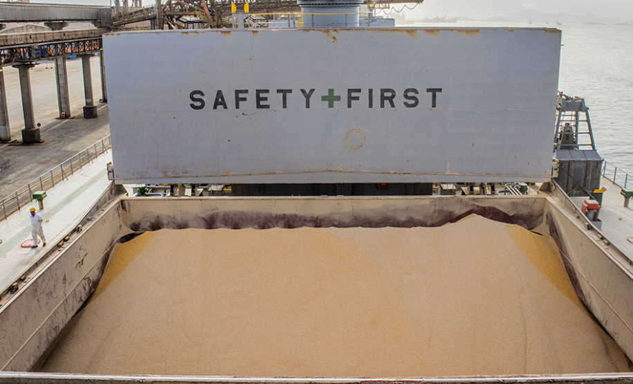 Portos de Paranaguá e Antonina registram alta de 4% na movimentação. - Paranaguá, 08/02/2021 - Foto: Claudio Neves/Portos do Paraná