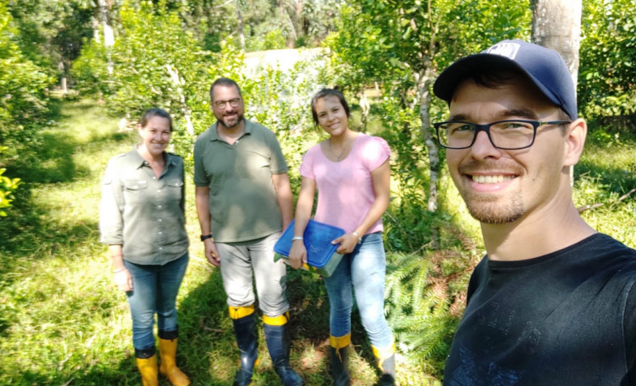 A Universidade Estadual do Oeste do Paraná (Unioeste), em parceria com o Instituto Nacional de Tecnología Agropecuária (Inta) da Argentina, desenvolve dois projetos de controle de pragas da erva-mate. A planta, utilizada na produção do chimarrão, é responsável por uma cadeia produtiva que movimenta R$ 1,2 bilhão de dólares ao ano.  -  Foto: Divulgação Unioeste