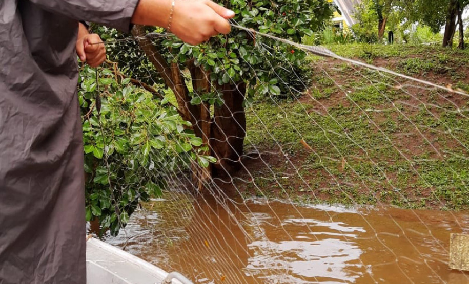 O Instituto Água e Terra (IAT) apreendeu e recolheu 190 itens durante a segunda Força-Tarefa de fiscalização de caça, pesca e floresta. O IAT é vinculado à Secretaria estadual do Desenvolvimento Sustentável e do Turismo (Sedest).  -  Foto: Divulgação Sedest/IAT