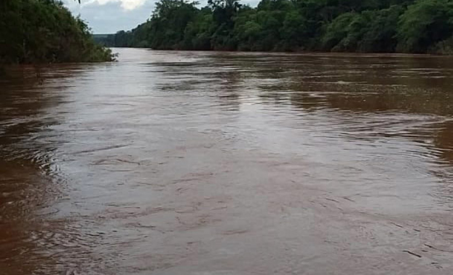 O Instituto Água e Terra (IAT) apreendeu e recolheu 190 itens durante a segunda Força-Tarefa de fiscalização de caça, pesca e floresta. O IAT é vinculado à Secretaria estadual do Desenvolvimento Sustentável e do Turismo (Sedest).  -  Foto: Divulgação Sedest/IAT
