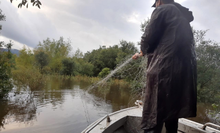 O Instituto Água e Terra (IAT) apreendeu e recolheu 190 itens durante a segunda Força-Tarefa de fiscalização de caça, pesca e floresta. O IAT é vinculado à Secretaria estadual do Desenvolvimento Sustentável e do Turismo (Sedest).  -  Foto: Divulgação Sedest/IAT