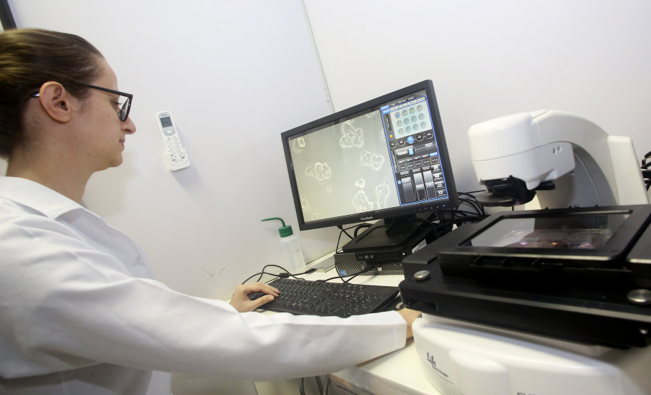 Universidades Estaduais estão entre as melhores da América Latina. Foto: Jaelson Lucas/Arquivo AEN