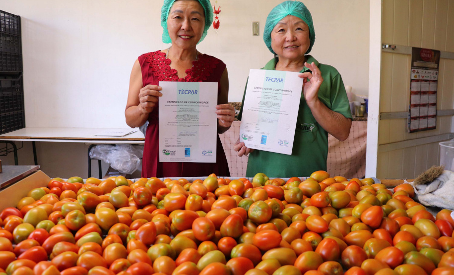 O Instituto de Tecnologia do Paraná já certificou cerca de 700 produtores paranaenses por meio do Paraná Mais Orgânico, desde 2009. O programa do Governo do Estado orienta agricultores familiares interessados em produzir alimentos orgânicos e certifica aqueles que já seguem as técnicas de manejo desta modalidade de produção. Foto: Tecpar