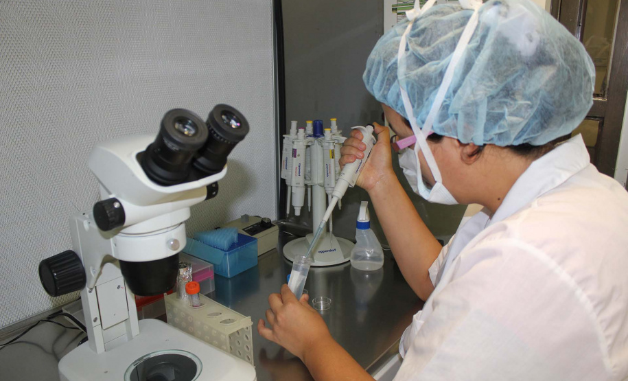 Pesquisa paranaense analisa as modificações genéticas do novo coronavírus. Foto:SETI