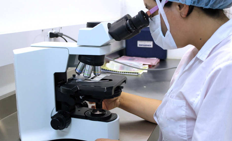 Pesquisa paranaense analisa as modificações genéticas do novo coronavírus. Foto:SETI