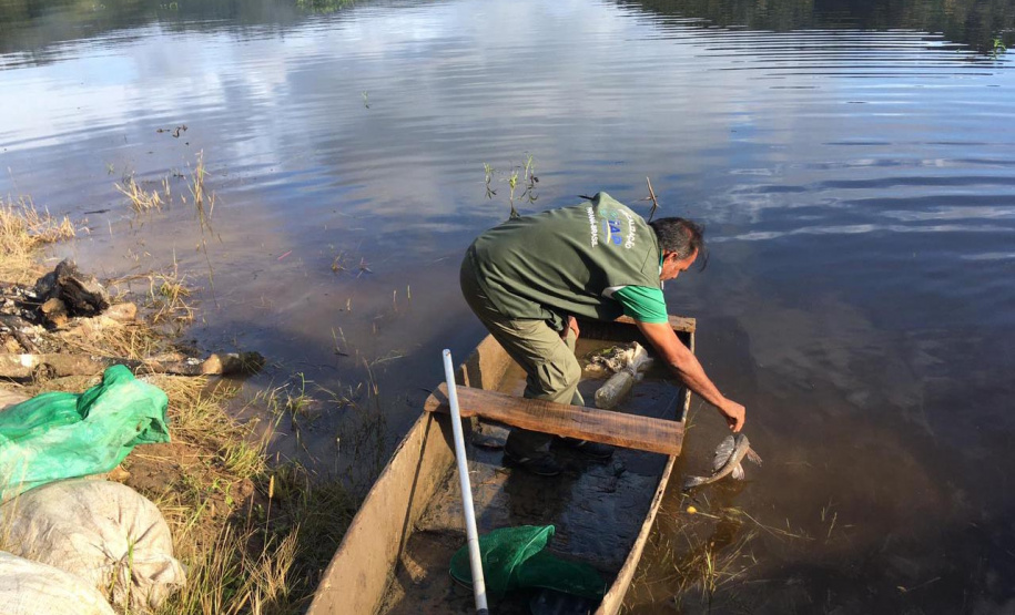 Fiscais da regional do Instituto Água e Terra (IAT) de Curitiba realizaram (do dia 11 ao 15) operação para coibir a pesca ilegal na Represa Capivari Cachoeira, nos municípios de Campina Grande do Sul e Bocaiúva do Sul.  Foto: IAT