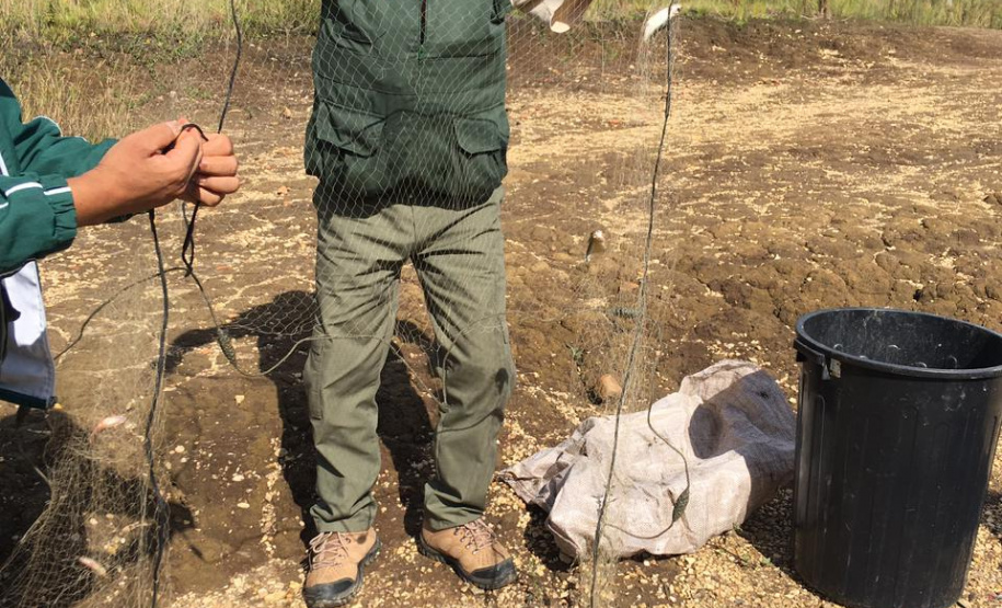 Fiscais da regional do Instituto Água e Terra (IAT) de Curitiba realizaram (do dia 11 ao 15) operação para coibir a pesca ilegal na Represa Capivari Cachoeira, nos municípios de Campina Grande do Sul e Bocaiúva do Sul.  Foto: IAT