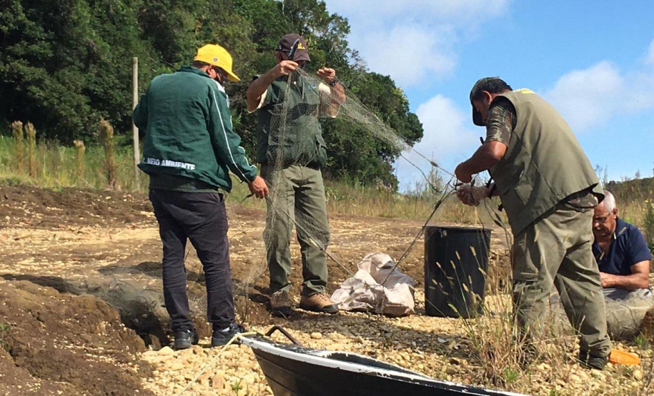 Fiscais da regional do Instituto Água e Terra (IAT) de Curitiba realizaram (do dia 11 ao 15) operação para coibir a pesca ilegal na Represa Capivari Cachoeira, nos municípios de Campina Grande do Sul e Bocaiúva do Sul.  Foto: IAT