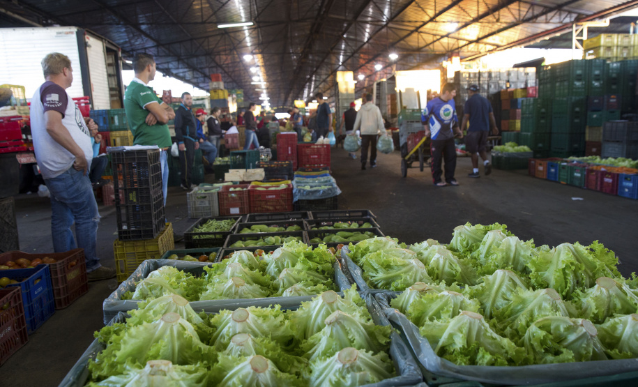 A Ceasa Paraná e o Instituto de Desenvolvimento Rural do Paraná - Iapar-Emater firmaram um termo de cooperação técnica financeira para ações integradas voltadas ao desenvolvimento rural e a inserção de agricultores familiares no processo de comercialização de hortigranjeiros.  -  Foto: Divulgação IDR/Ceasa Paraná
