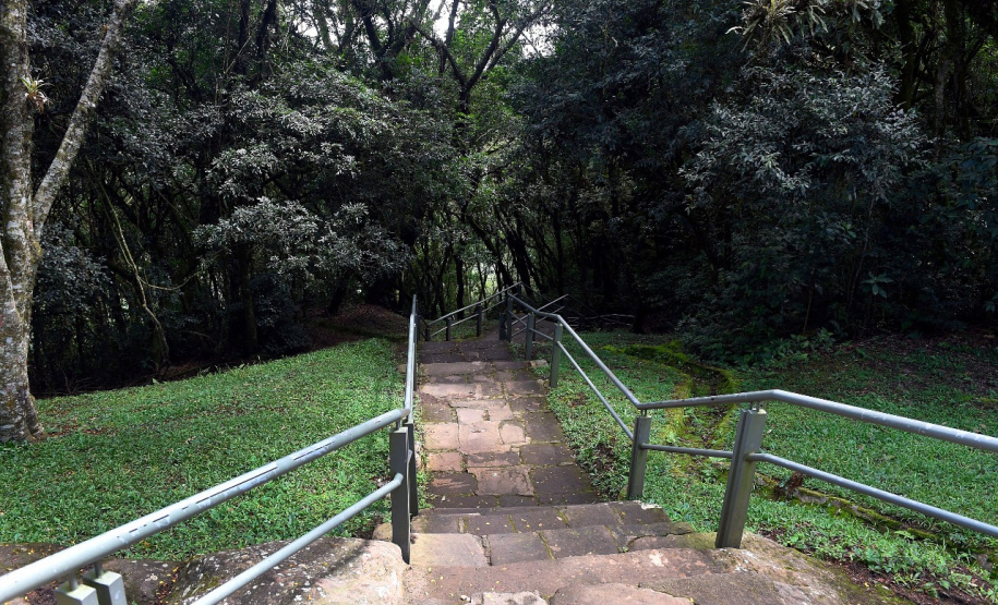 O Parque Estadual do Monge, situado no município da Lapa (RMC), volta a receber visitantes neste sábado (20). - Foto: Denis Ferreira Netto/SEDEST