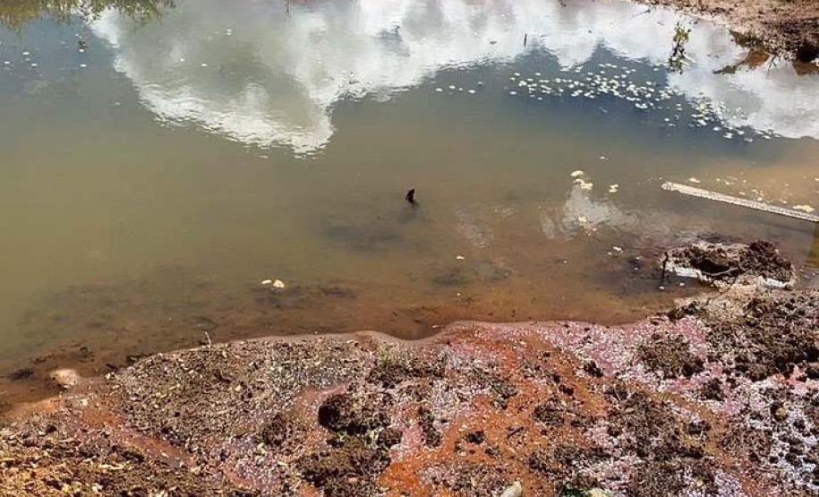 Fiscais do Escritório Regional de União da Vitória do Instituto Água e Terra (IAT) encontraram, nesta sexta-feira (19), diversas irregularidades ambientais em uma propriedade rural de General Carneiro, no extremo Sul do Paraná.  General Carneiro, 19/02/2021  -  Foto: Divulgação SEDEST/IAT