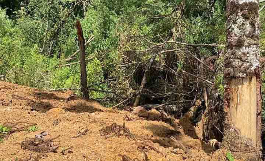 Fiscais do Escritório Regional de União da Vitória do Instituto Água e Terra (IAT) encontraram, nesta sexta-feira (19), diversas irregularidades ambientais em uma propriedade rural de General Carneiro, no extremo Sul do Paraná.  General Carneiro, 19/02/2021  -  Foto: Divulgação SEDEST/IAT