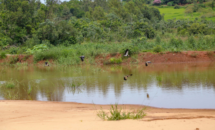 Parque Urbano em Jussara. 02-2021