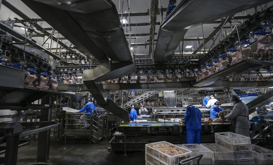 O Paraná que alimenta o mundo. A Agência Estadual de Notícias (AEN) começa a retratar a partir deste mês, em uma série de reportagens, a pujança do Estado na produção de proteínas, grãos, hortaliças, frutas, produtos florestais e outras grandes culturas.   -  Curitiba, 22/02/2021  -  Foto: Jonathan Campos/AEN