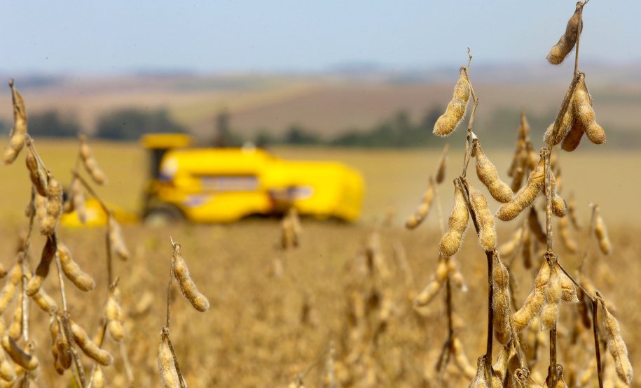 O Paraná que alimenta o mundo. A Agência Estadual de Notícias (AEN) começa a retratar a partir deste mês, em uma série de reportagens, a pujança do Estado na produção de proteínas, grãos, hortaliças, frutas, produtos florestais e outras grandes culturas.   -  Curitiba, 22/02/2021