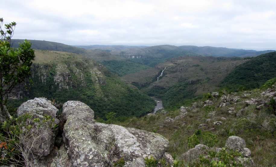 O Instituto Água e Terra (IAT) convoca os municípios do Paraná que possuem Unidades de Conservação Municipais e Reservas Particulares do Patrimônio Natural (RPPN) em seu território para realizarem o cadastro dessas áreas. - Foto: Tereza Hoffmann