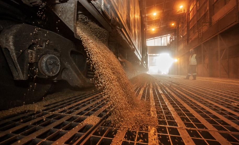 O movimento de caminhões que descarregam o produto nos terminais paranaenses se intensifica e deve chegar aos 2 mil veículos por dia, a partir da primeira semana de março. A expectativa é receber cerca de 2 milhões de toneladas no mês. - paranaguá, 23/02/2021 - Foto: Claudio Neves/Portos do Paraná