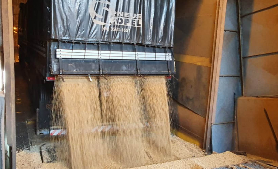 O movimento de caminhões que descarregam o produto nos terminais paranaenses se intensifica e deve chegar aos 2 mil veículos por dia, a partir da primeira semana de março. A expectativa é receber cerca de 2 milhões de toneladas no mês. - paranaguá, 23/02/2021 - Foto: Claudio Neves/Portos do Paraná