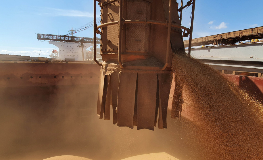 O movimento de caminhões que descarregam o produto nos terminais paranaenses se intensifica e deve chegar aos 2 mil veículos por dia, a partir da primeira semana de março. A expectativa é receber cerca de 2 milhões de toneladas no mês. - paranaguá, 23/02/2021 - Foto: Claudio Neves/Portos do Paraná