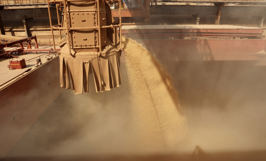 O movimento de caminhões que descarregam o produto nos terminais paranaenses se intensifica e deve chegar aos 2 mil veículos por dia, a partir da primeira semana de março. A expectativa é receber cerca de 2 milhões de toneladas no mês. - paranaguá, 23/02/2021 - Foto: Claudio Neves/Portos do Paraná