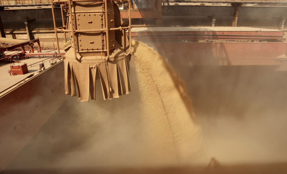 O movimento de caminhões que descarregam o produto nos terminais paranaenses se intensifica e deve chegar aos 2 mil veículos por dia, a partir da primeira semana de março. A expectativa é receber cerca de 2 milhões de toneladas no mês. - paranaguá, 23/02/2021 - Foto: Claudio Neves/Portos do Paraná