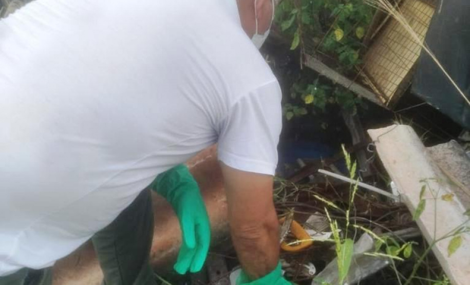 O boletim semanal da dengue confirma nesta terça-feira (23) 425 novos casos da doença no Paraná. O Estado soma 3.129 casos neste período epidemiológico, iniciado em agosto de 2020. Há 344 municípios com notificações para a dengue e 212 apresentam confirmações. São 7.491 casos em investigação.  -  Curitiba, 23/02/2021  -  Foto: Divulgação SESA