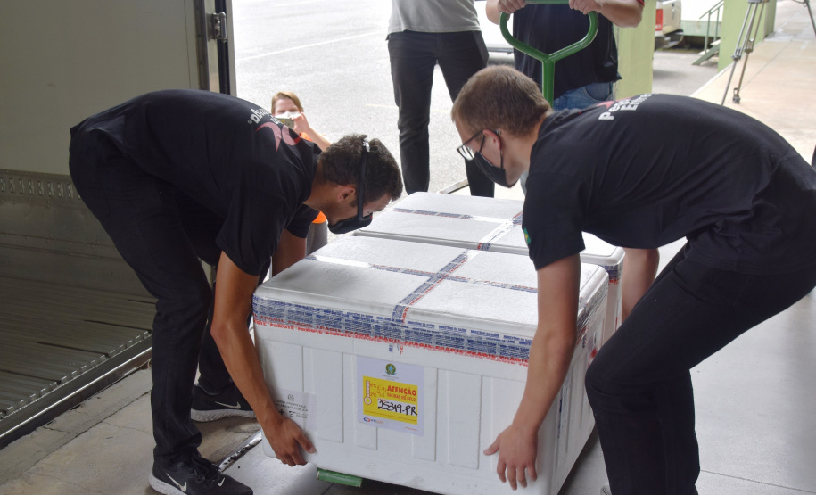 As doses chegaram no aeroporto de São José dos Pinhais na manhã desta quarta-feira e já foram encaminhadas para o Cemepar para o registro, armazenamento em câmara fria com temperatura entre 2 e 8 graus e organização para distribuição entre as Regionais de Saúde do Estado.  Foto: Antonio Americo/SESA