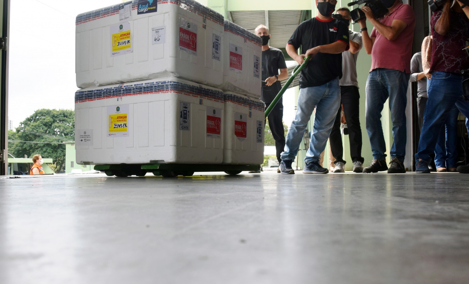As doses chegaram no aeroporto de São José dos Pinhais na manhã desta quarta-feira e já foram encaminhadas para o Cemepar para o registro, armazenamento em câmara fria com temperatura entre 2 e 8 graus e organização para distribuição entre as Regionais de Saúde do Estado.  Foto: Antonio Americo/SESA