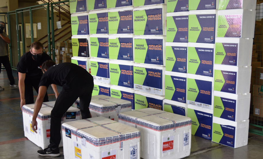 As doses chegaram no aeroporto de São José dos Pinhais na manhã desta quarta-feira e já foram encaminhadas para o Cemepar para o registro, armazenamento em câmara fria com temperatura entre 2 e 8 graus e organização para distribuição entre as Regionais de Saúde do Estado.  Foto: Antonio Americo/SESA