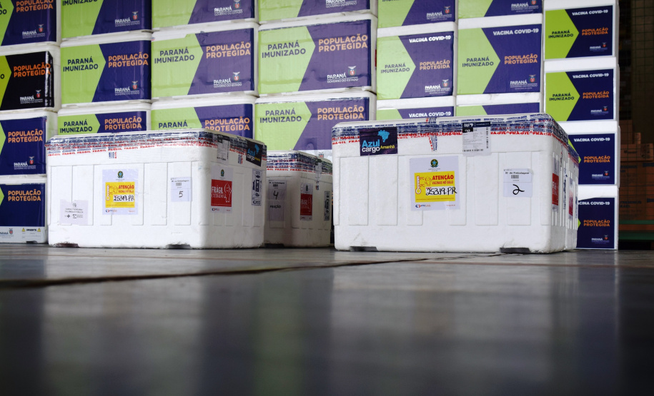 As doses chegaram no aeroporto de São José dos Pinhais na manhã desta quarta-feira e já foram encaminhadas para o Cemepar para o registro, armazenamento em câmara fria com temperatura entre 2 e 8 graus e organização para distribuição entre as Regionais de Saúde do Estado.  Foto: Antonio Americo/SESA