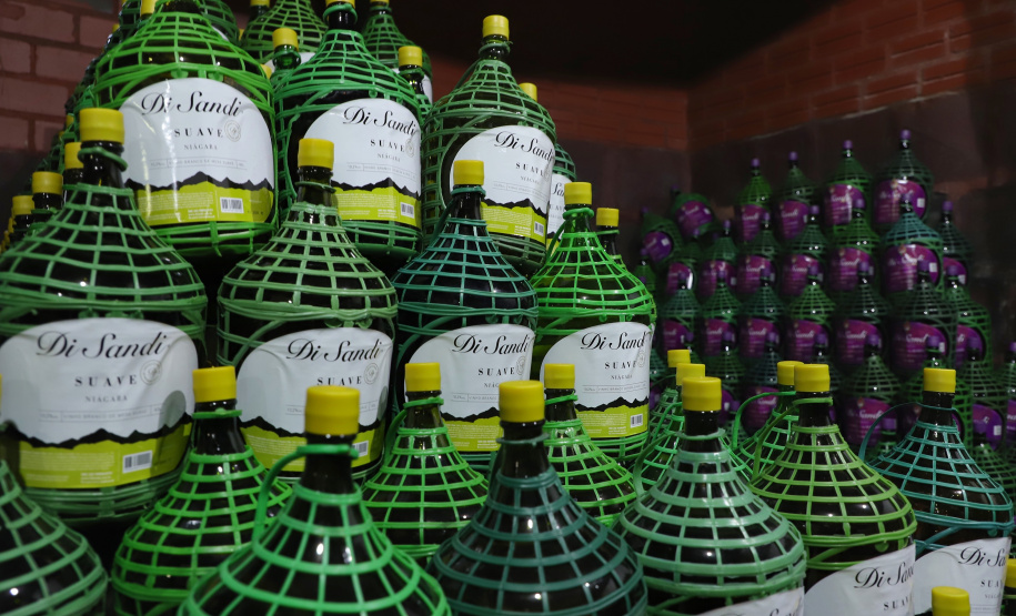 Vinícola Di Sandi. Bituruna. 02-2021