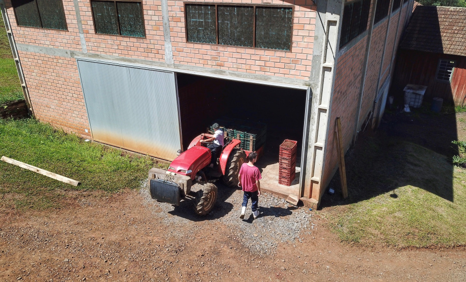 Vinícola Di Sandi. Bituruna. 02-2021